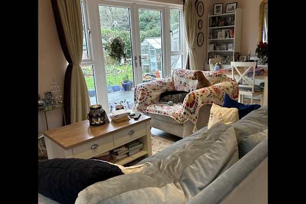 House sit in Canterbury, United Kingdom