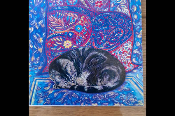 House sit in Brixham, United Kingdom