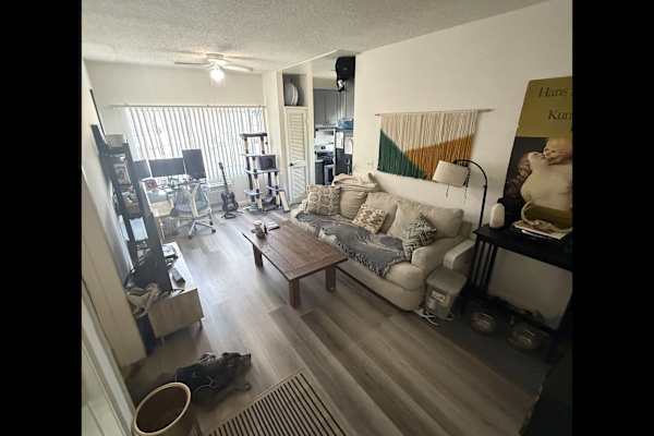 House sit in Los Angeles, CA, US