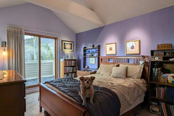 House sit in Aspen, CO, US