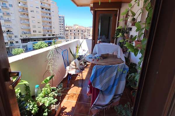 House sit in Palma, Spain
