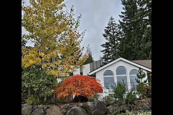 House sit in Multnomah, OR, US