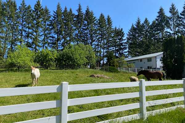 House sit in Sheridan, OR, US