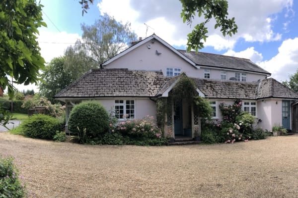 House sit in Alton, United Kingdom