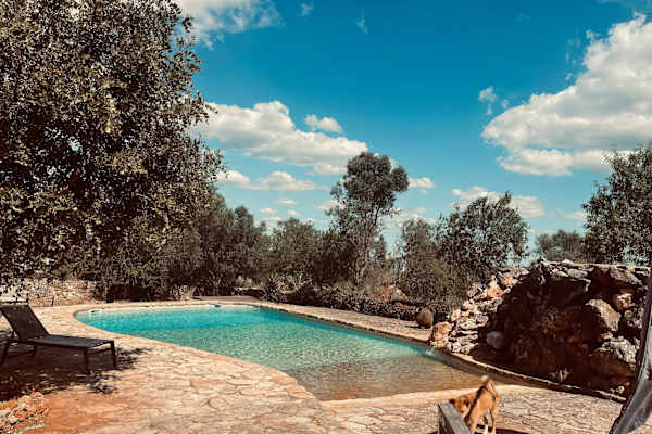 House sit in Loulé, Portugal