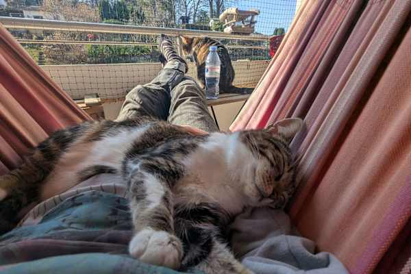 House sit in Wuppertal, Germany