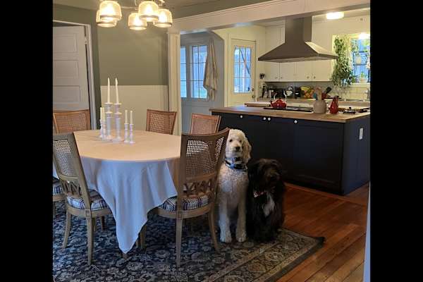 House sit in Oregon City, OR, US