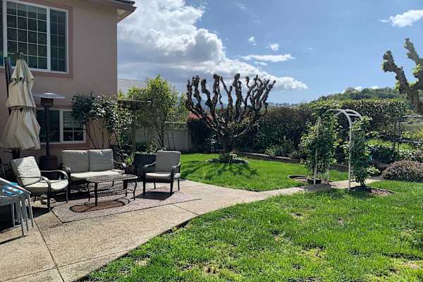 House sit in San Rafael, CA, US