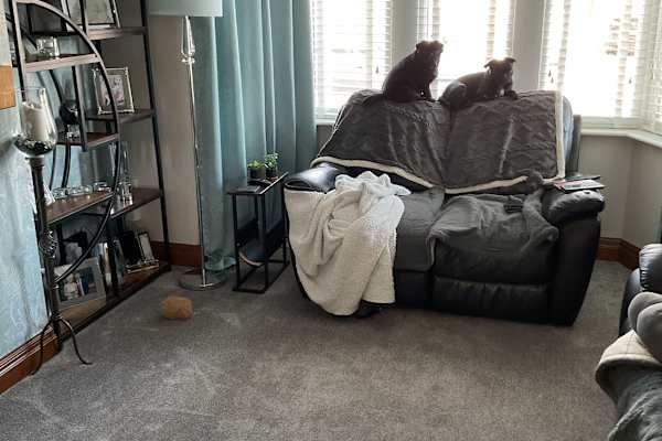 House sit in Norbreck, United Kingdom