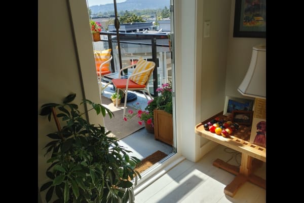 House sit in Brentwood Bay, BC, Canada