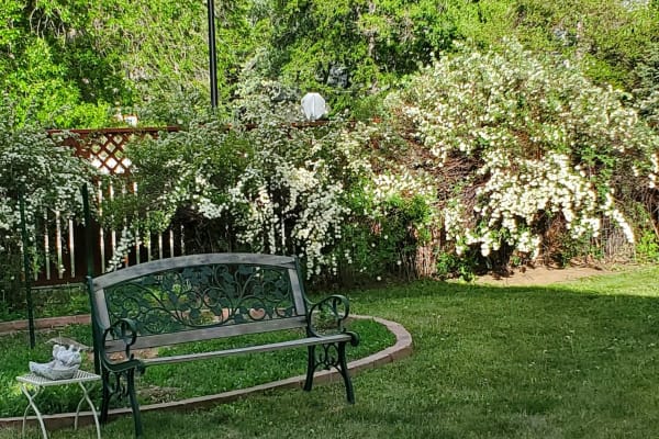 House sit in Boulder, CO, US