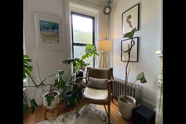 House sit in Brooklyn, NY, US