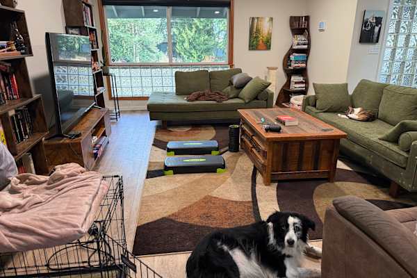 House sit in Tacoma, WA, US