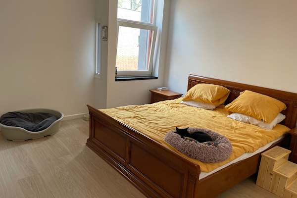 House sit in Amsterdam, Netherlands