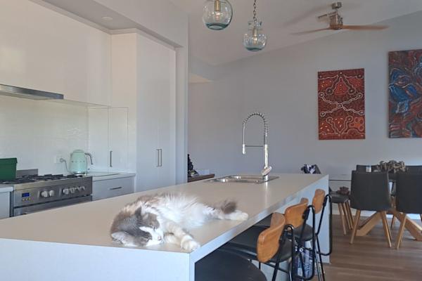House sit in Adelaide, SA, Australia