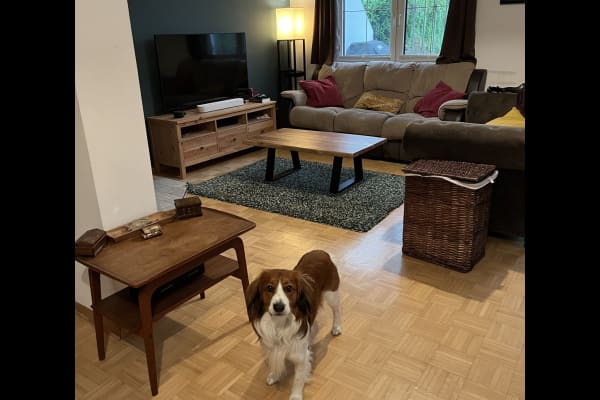 House sit in Vienna, Austria