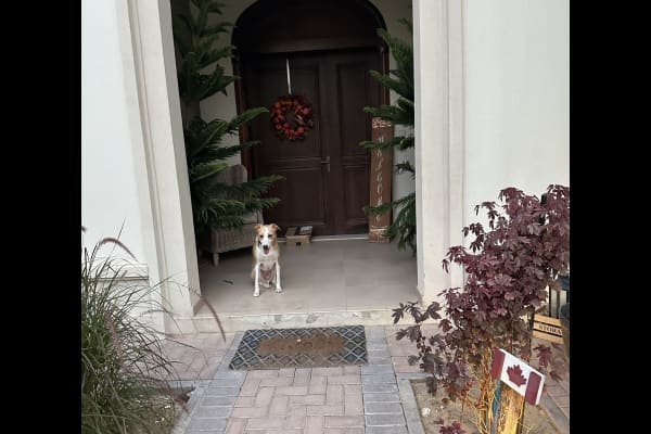 House sit in Dubai, United Arab Emirates