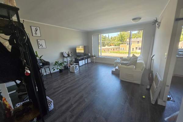 House sit in San Mateo, CA, US