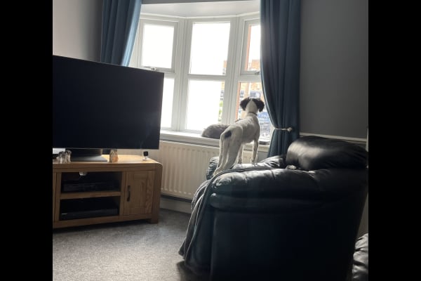 House sit in Kingswinford, United Kingdom