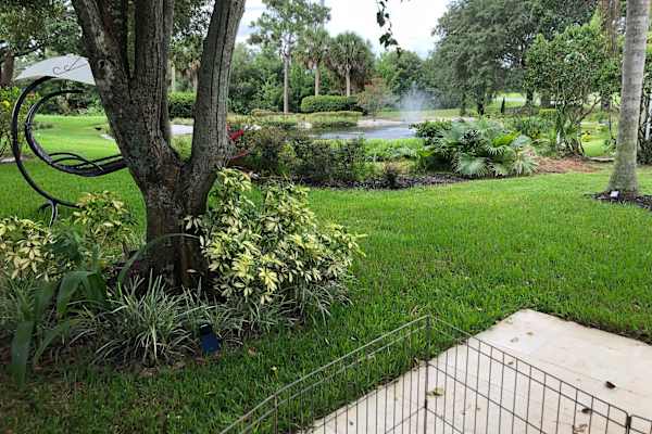 House sit in Orlando, FL, US