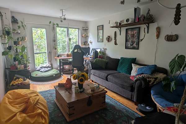 House sit in Montréal, QC, Canada