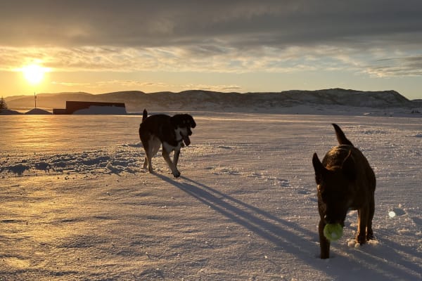 House sit in Steamboat Springs, CO, US