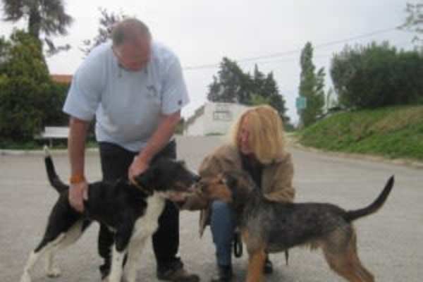 House sit in Saverdun, France