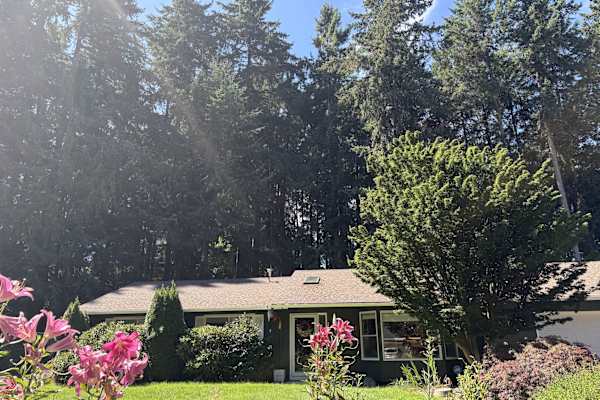 House sit in Lacey, WA, US