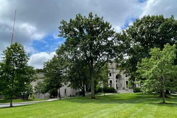 House sit in Boston, MA, US