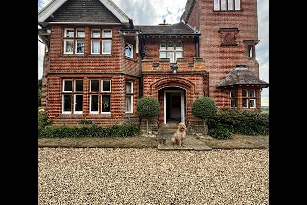 House sit in Bramerton, United Kingdom