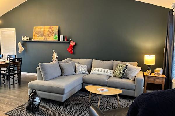 House sit in Calgary, AB, Canada