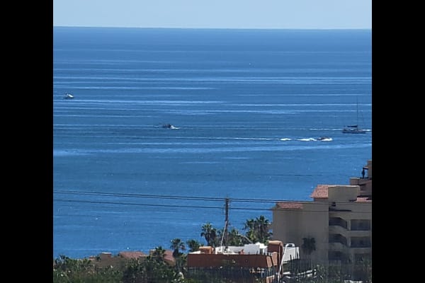 House sit in Cabo San Lucas, Mexico