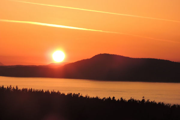 House sit in Anacortes, WA, US