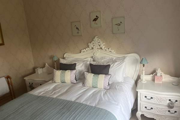 House sit in Reigate, United Kingdom