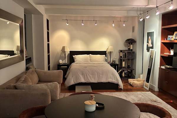 House sit in Manhattan, NY, US
