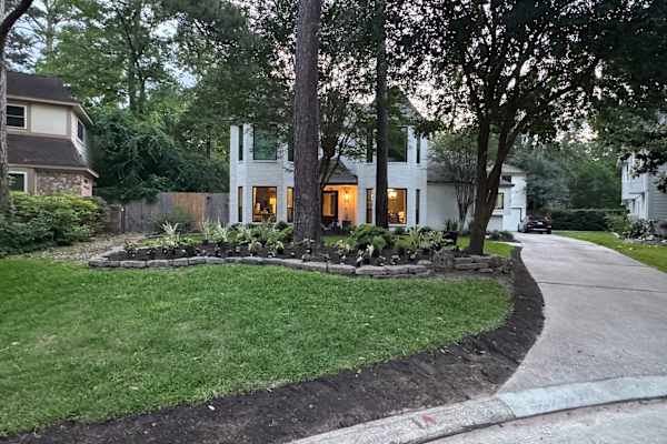 House sit in Houston, TX, US