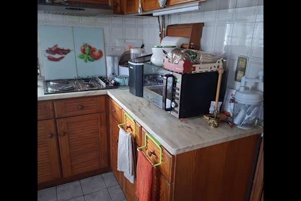 House sit in Ovar, Portugal