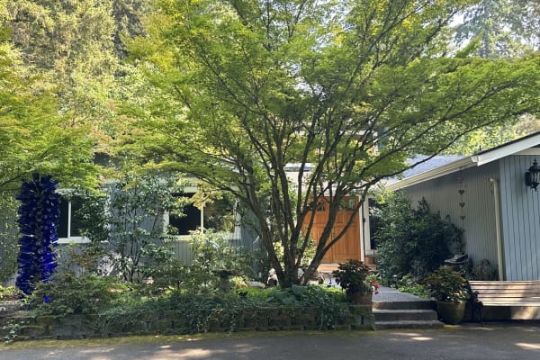 House sit in Tacoma, WA, US