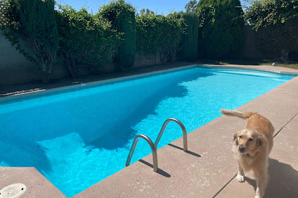 House sit in Tustin, CA, US