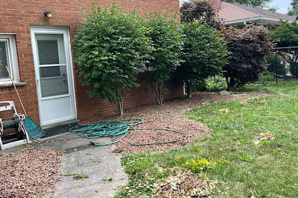 House sit in Windsor, ON, Canada