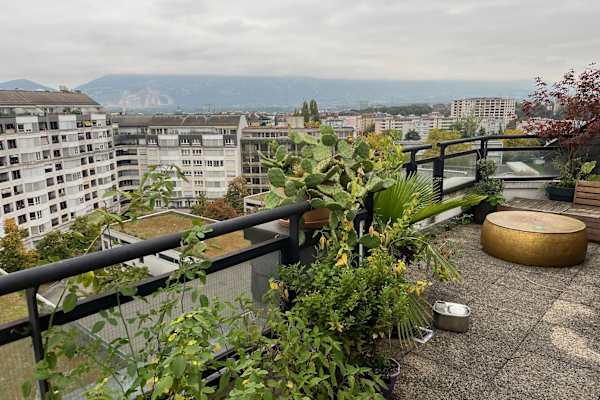 House sit in Genève, Switzerland