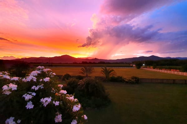 House sit in Cairns, QLD, Australia