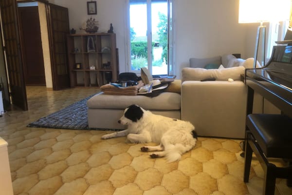 House sit in Mauguio, France