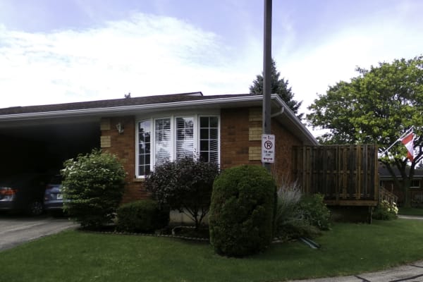 House sit in Brantford, ON, Canada