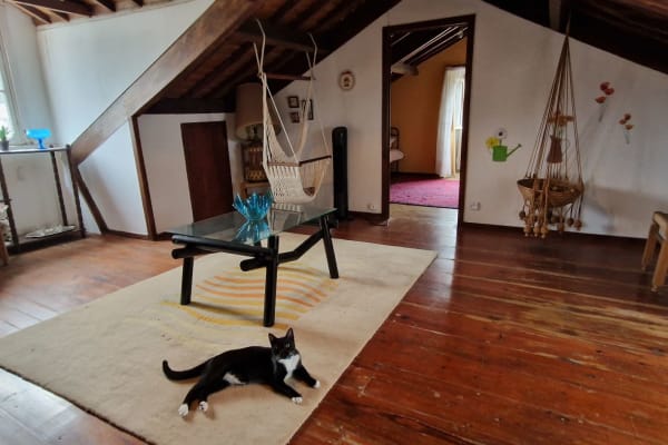 House sit in Biscoitos, Portugal