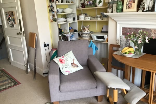 House sit in Exeter, United Kingdom