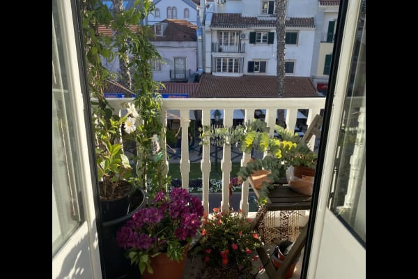 House sit in Cascais, Portugal