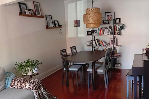House sit in Montréal, QC, Canada