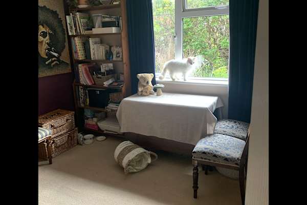 House sit in Trowbridge, United Kingdom