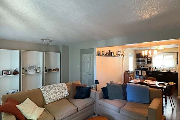 House sit in Kitchener, ON, Canada
